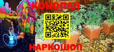 ПСИЛОЦИБИНОВЫЕ ГРИБЫ Нальчик