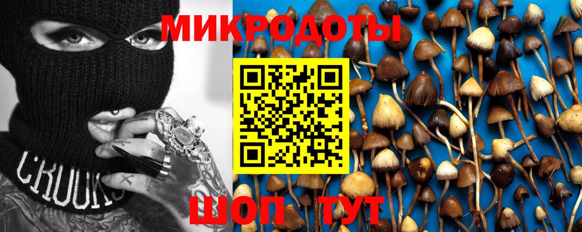 Галлюциногенные грибы GOLDEN TEACHER  Псилоцибиновые грибы мицелий  Симферополь  Вход с VPN 